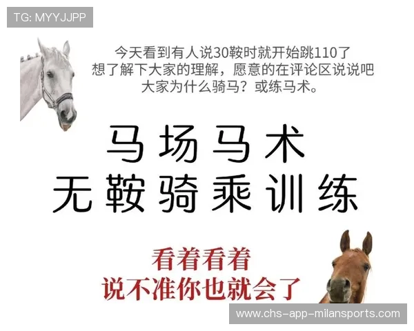 马术骑手与马匹默契成就冠军配对 马术骑手与马匹默契成就冠军配对