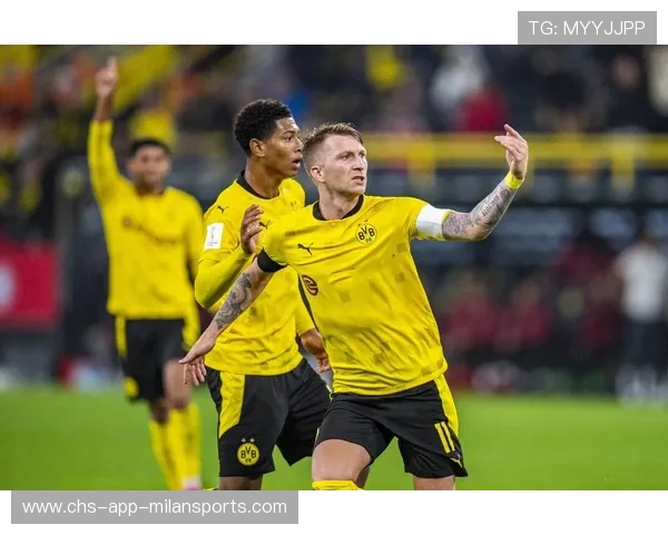 阿贾克斯瞄准哈兰德式高塔引援，开启新时代的中锋梦想