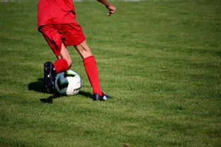 米兰体育网页版-中国足球青训体系引进国际先进训练理念，中国足球青训体系是什么